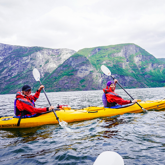 Kayak