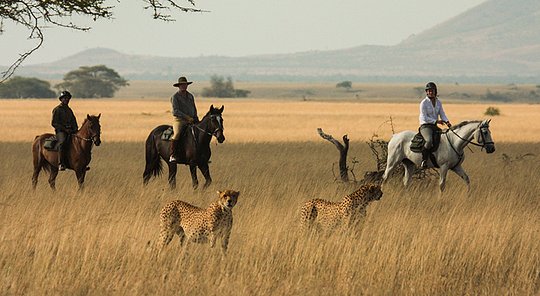 Horseback Safaris with Riding Wild