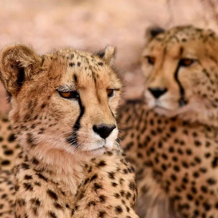 Namibia1