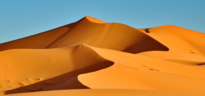The Mini Sahara Experience
