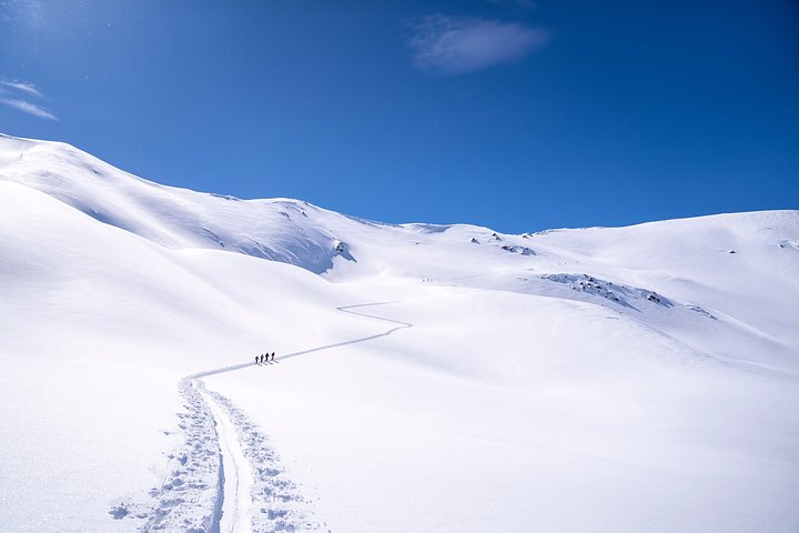 hendrikmorkeloql99W45lTUunsplash