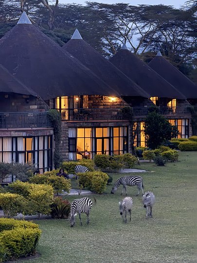 Lodge grounds at Lake Naivasha, Kenya