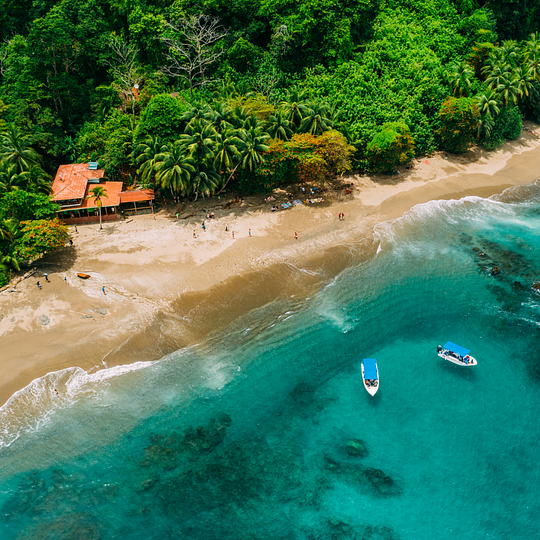 Discover the Costa Rican wilderness