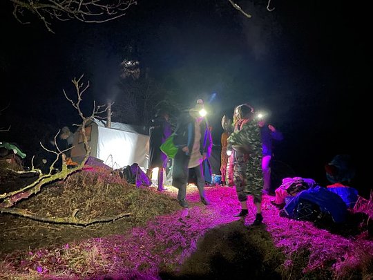 Head torch or torch