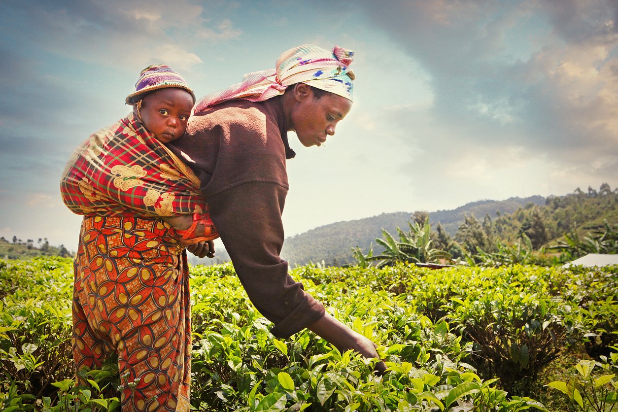 The Heart of Rwanda’s Diverse Landscapes