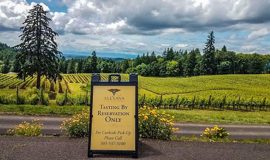 Taste wine with some of the most important wine makers in the valley