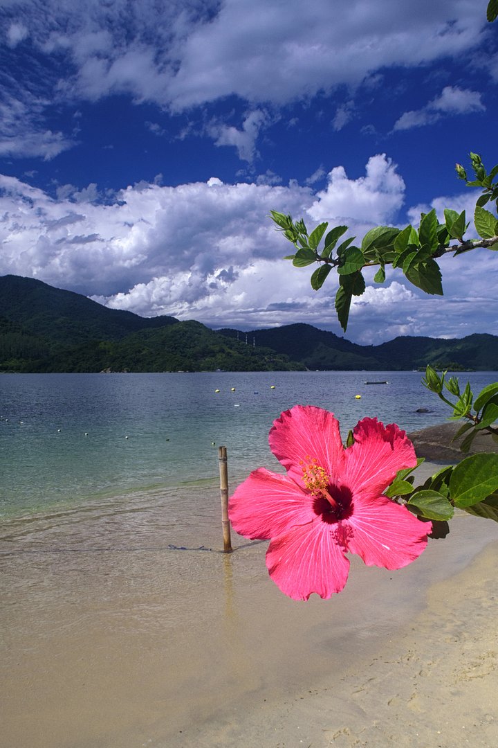 iStock1164357408