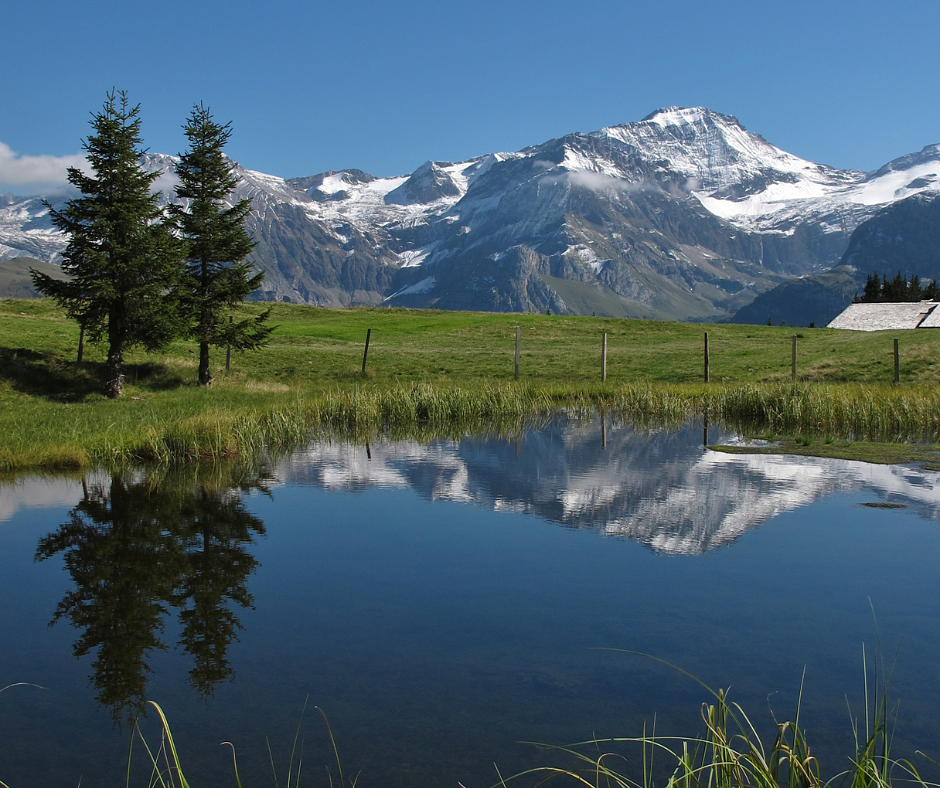 THE BERNESE OBERLAND 