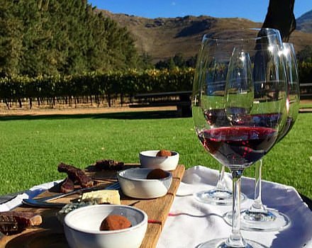 Wine Farms