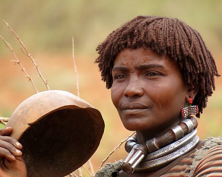 The Tribes