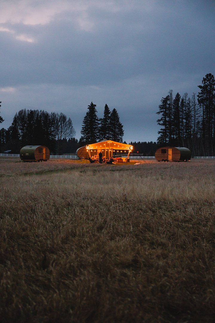 EJS_98431