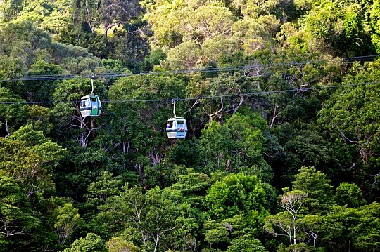 Explore the lush rainforest from Kuranda Skyrail