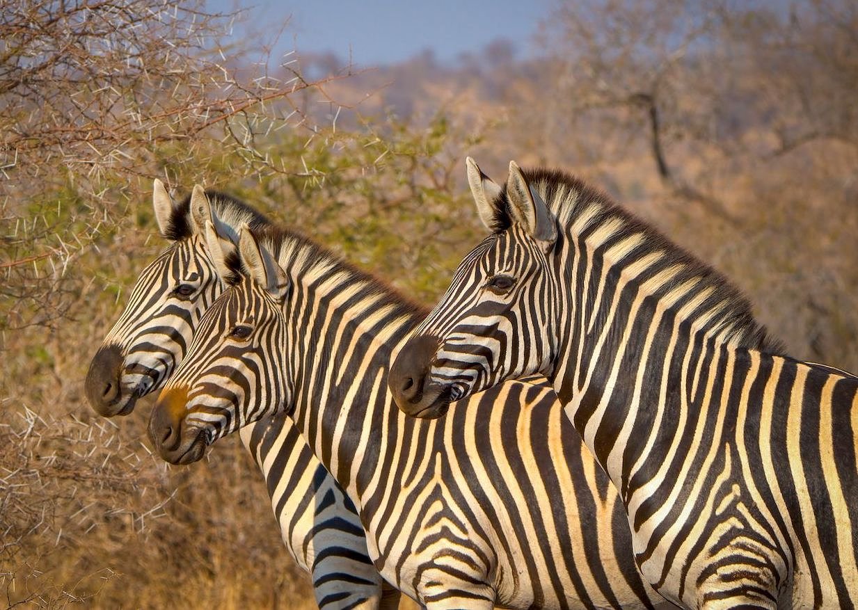 Exploring South Africa
