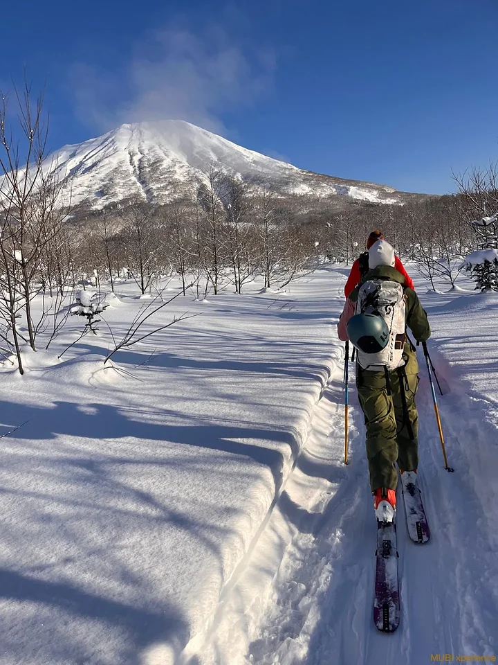 skifreeridepoudreusejapowaomorijapon13