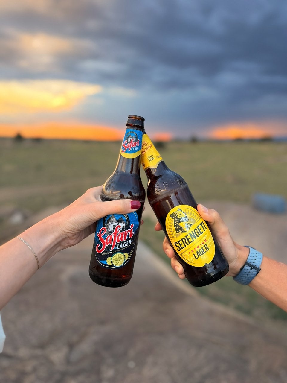 The Grand Finale: Safari & Zanzibar
