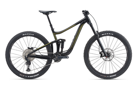 Bike Rental - GIANT REIGN 29 MY21