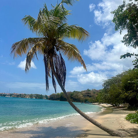 StVincentandtheGrenadines