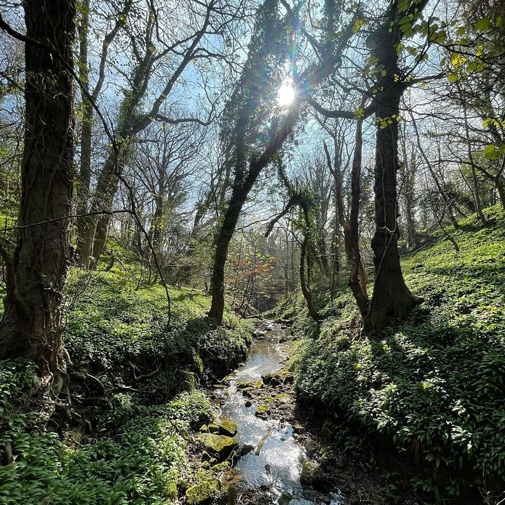 Theincrediblewellbeingbenefitsofnature