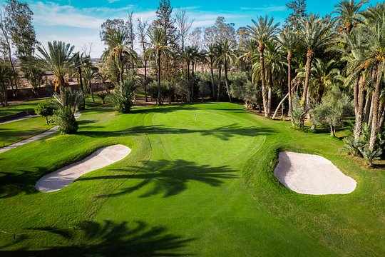🧳 Premium Club Hire & Buggies Included