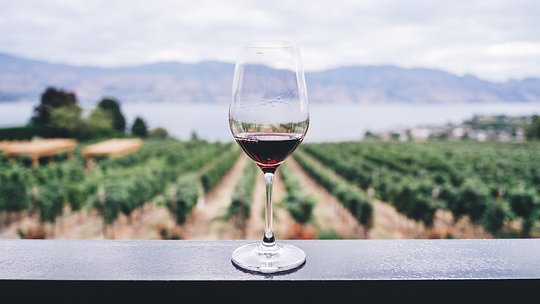 Wine Tasting