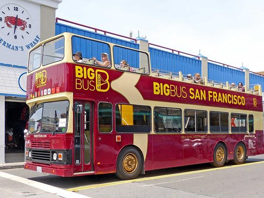 City Sightseeing Bus Tour