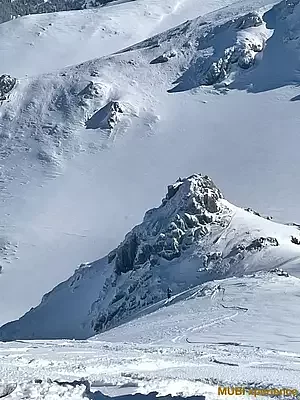 mubiphotosnowcatskigeorgie_20