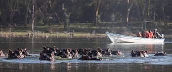 Wildlife Boat Safari through Lake Naivasha