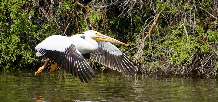 The Danube Delta Experience