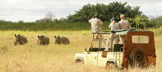 Game Drivers on Lewa