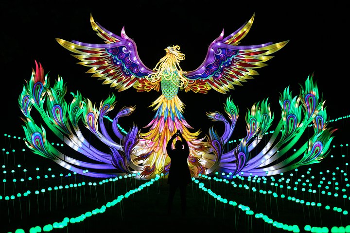 persontakingphotoofpheonix