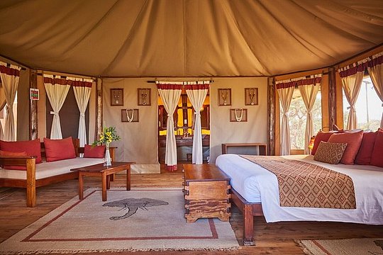 Stay in top of the line tented camps, in wildlife-rich parks