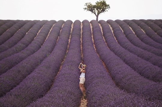 Take part in a professional photo shoot starring you in the lavender fields, in full bloom!