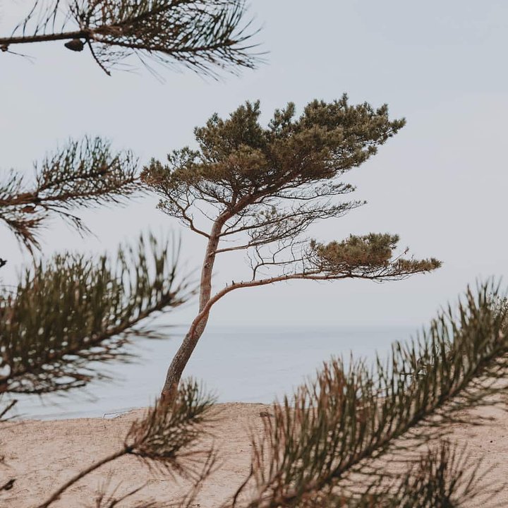 kristapsungursNlPHz9xNNYEunsplash