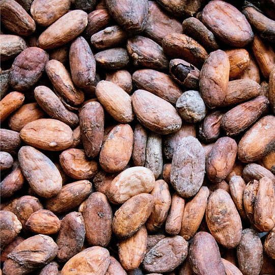 The cacao ceremony