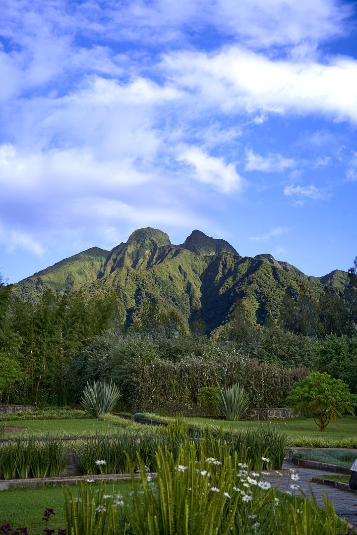 iStock2158820391