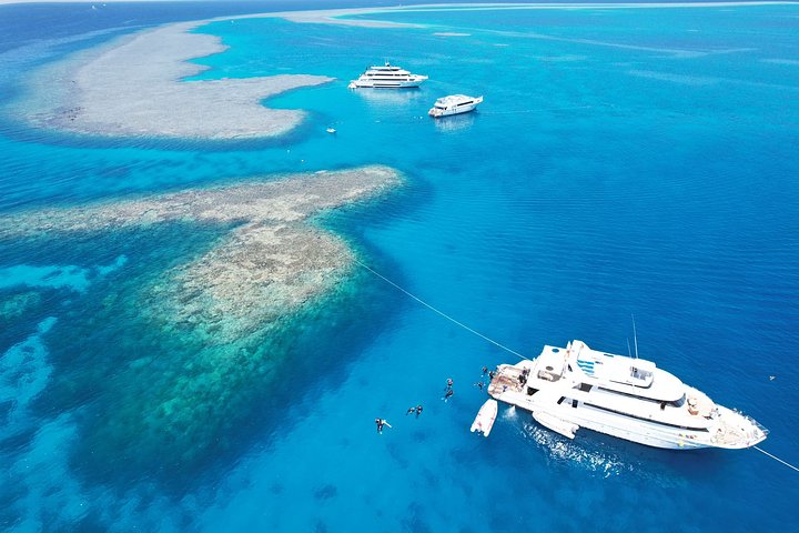 Sunshine_yachtredseaegyptkitesafari20230811WA0005