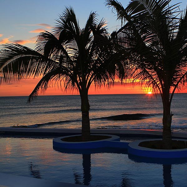 Palm trees on the beach in Nicaragua