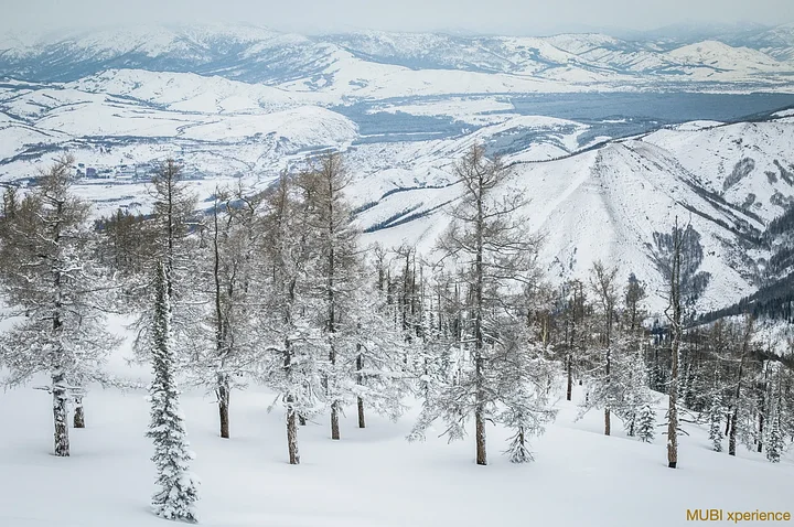 snowcatskifreeridekazakhstanaltai1