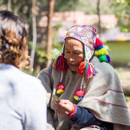 Ayahuasca shamans
