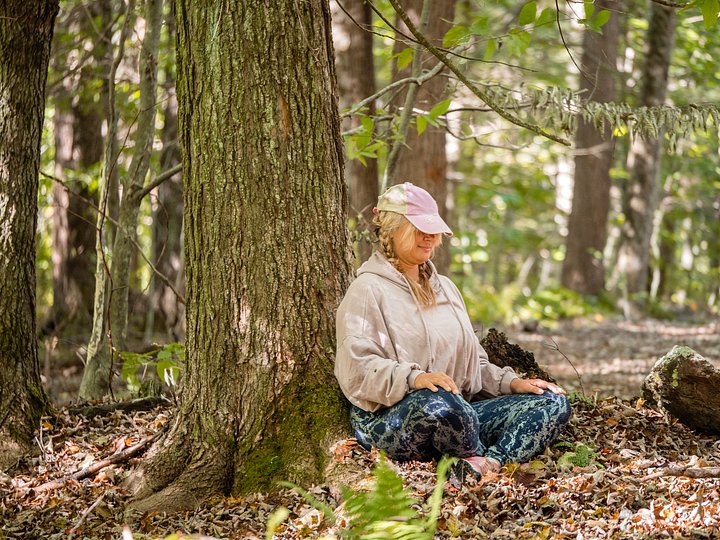 forestbathingblog