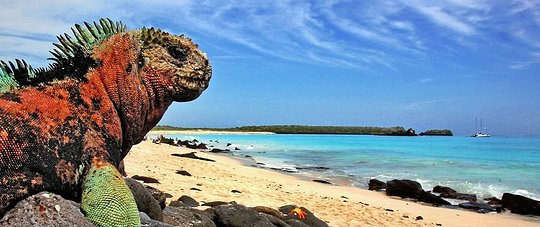 Nature's Masterpiece: The Galápagos Islands and Amazon Rainforest