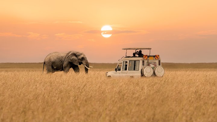 iStock1416834065