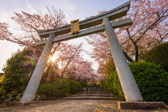Gion Region & Nanzen-ji Temple