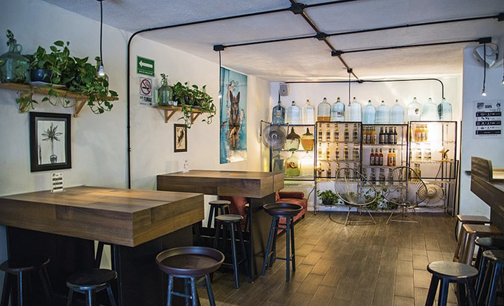 mezcaltasting1