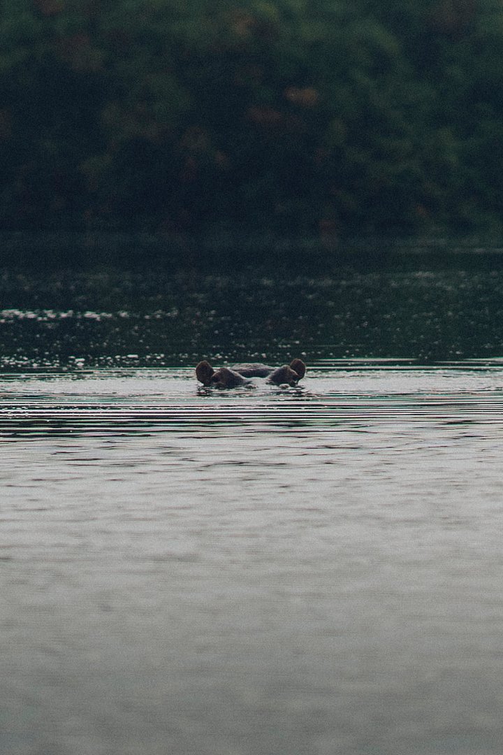 randominstitute28qyCVqS0tIunsplash