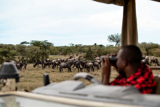 Safaris, Authentic Experiences in Homes and Wilderness