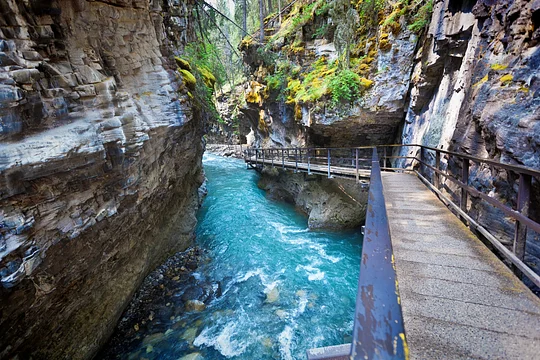 Hike through Johnston Canyon, one of the most magical walks in the Canadian Rockies