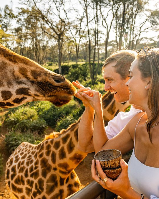 Elephants, Giraffes and We're On Our Way!