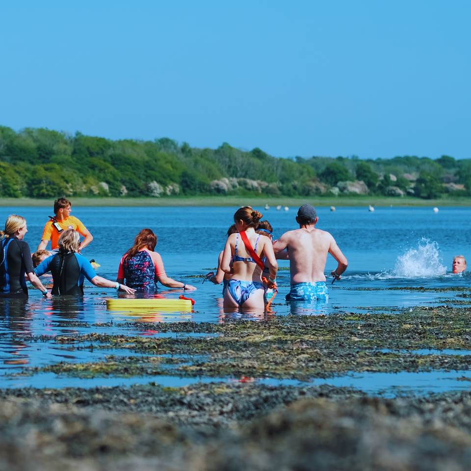 Wild Swimming Pre Registration 