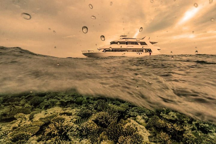 FB_Sunshine_yachtredseaegyptkitesafari_1648662148971